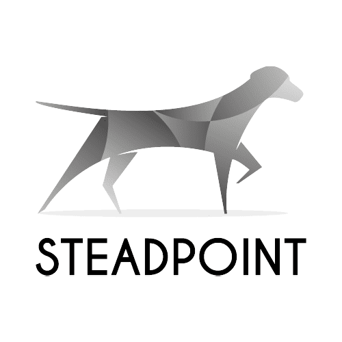 Stead Point Group